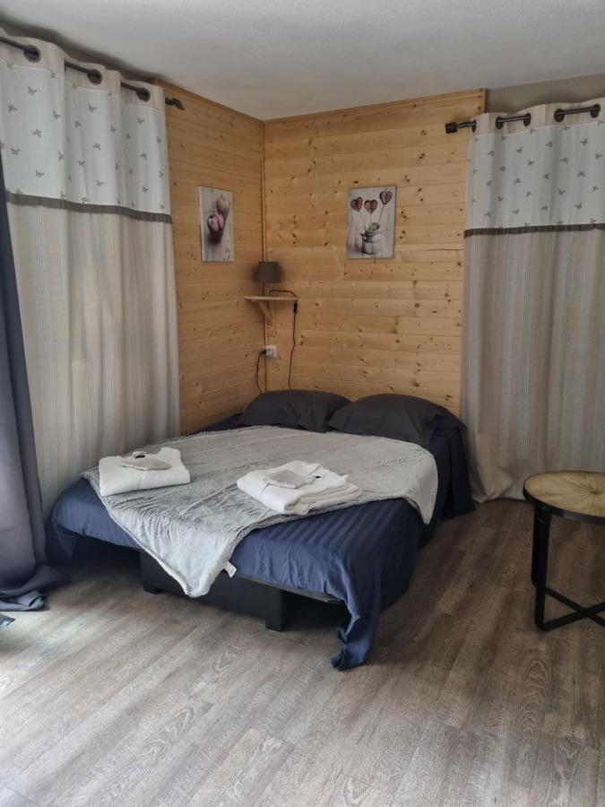 18 Rue Des Teppaz Les Alberges Le Bourg-dʼOisans エクステリア 写真